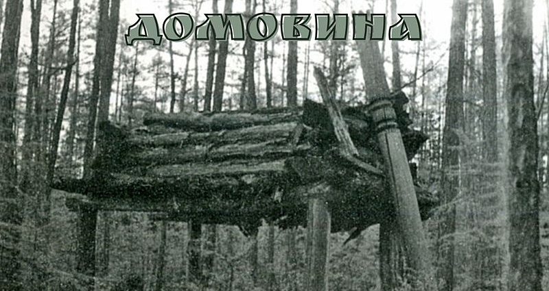 Домовина фото